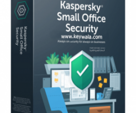 Kaspersky Small Office Security 15PC 1Y (15PC / 1Year)